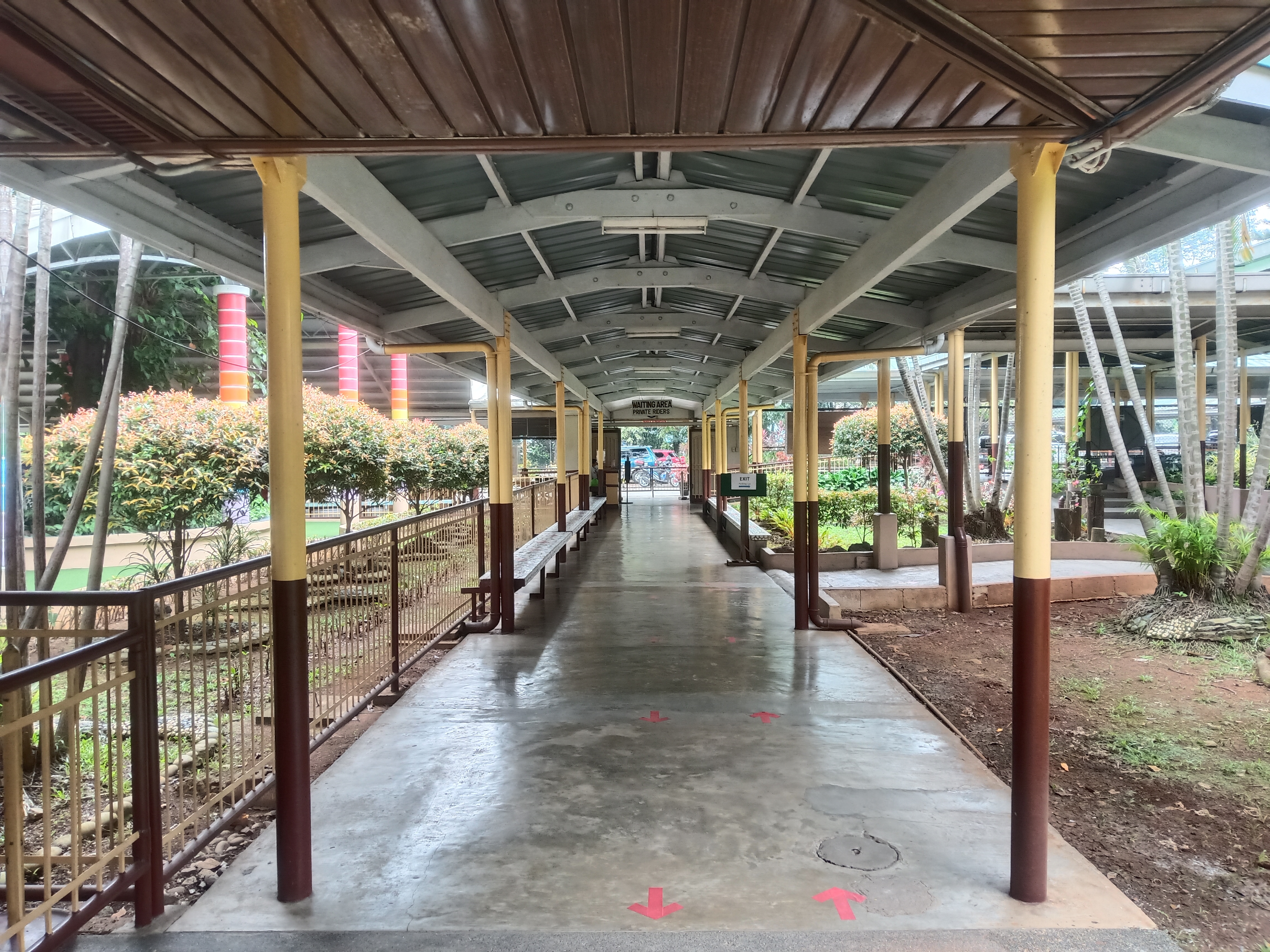 Graduates Celebrating